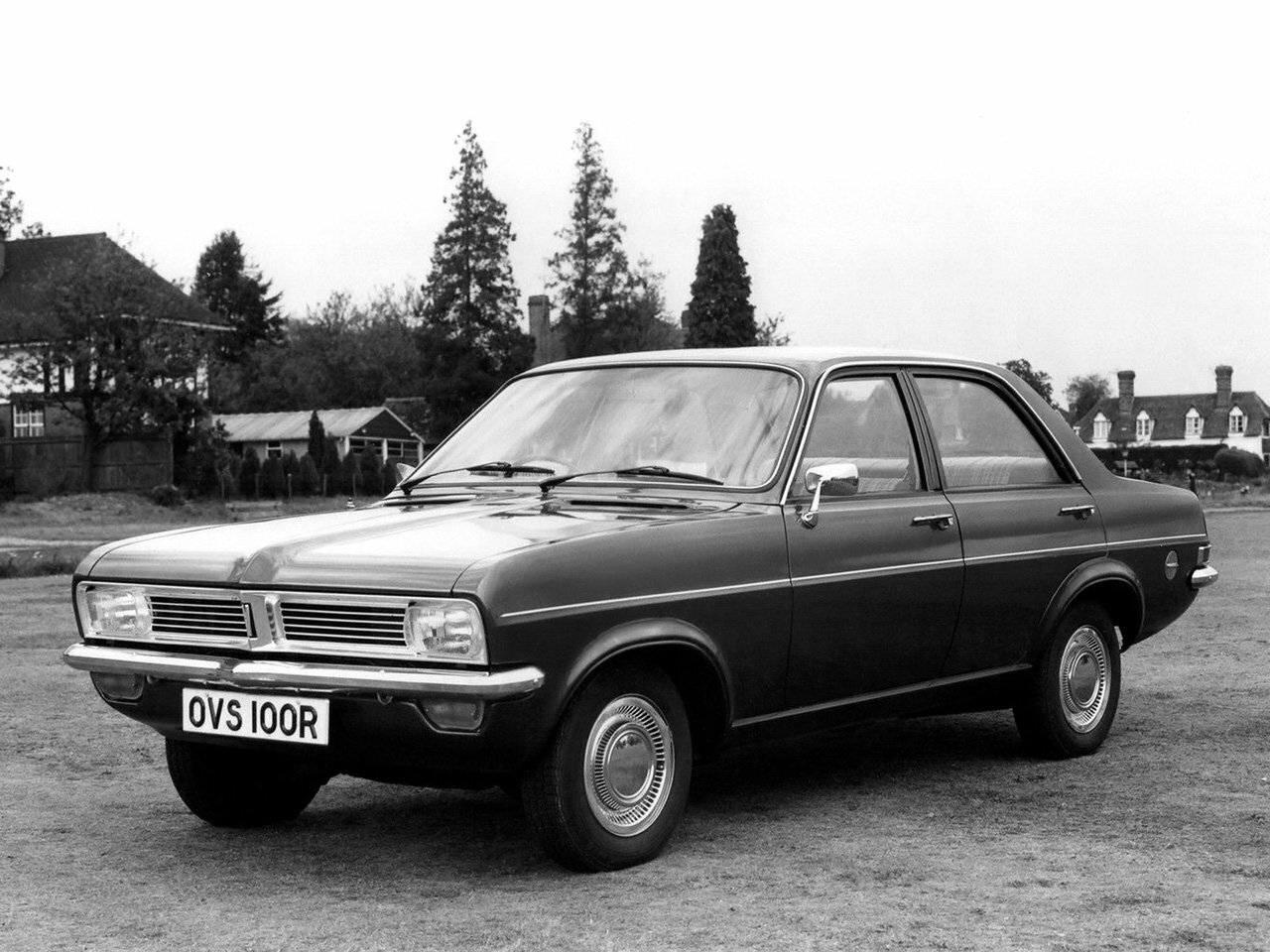 вива