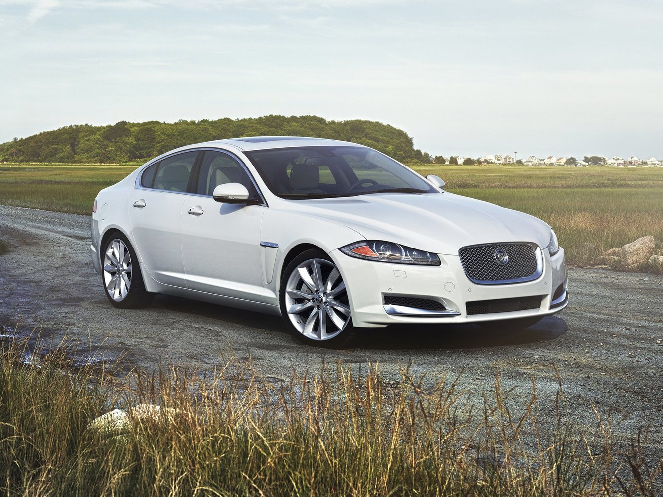 XF