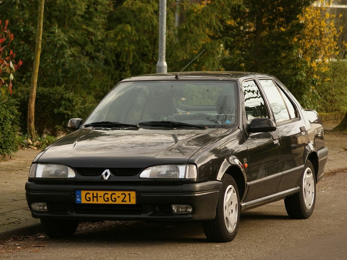 19